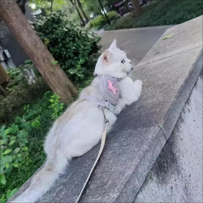 Fashion Cat Dog Harness and Leash Set for Cats Small Dogs Cartoon Print Pet Harnesses with Backpack Kitten Ropes Accessories - Image 4