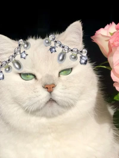 Cat Accessories Jewelry High Beauty Unique Design Earrings Women's Essential Decorations Birthday Gifts