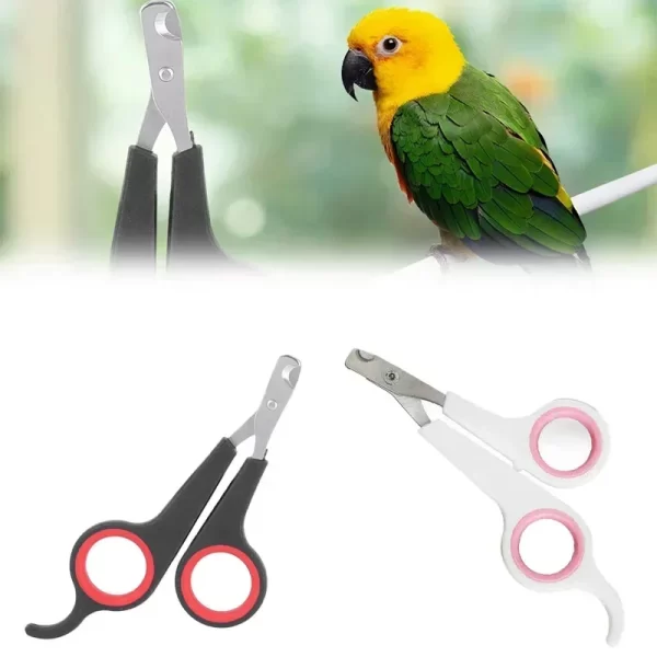 Parrot Nail Clippers Small Animal Accessories Beauty Tools Nail Clippers Dog Cat Bird Guinea Pig Animal Paw Scissors Pet Health