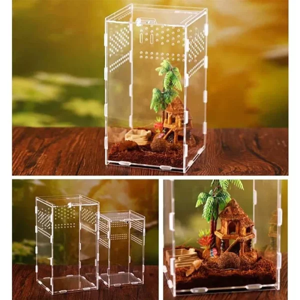 Reptile Habitat Terrarium Breeding Box Acrylic Transparent Insect Spider Lizard Scorpion Feeding Case Reptile Accessories - Image 2