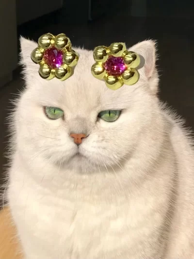 New cat accessories trendy jewelry exquisite socialite style earrings, women's accessories collection party gifts