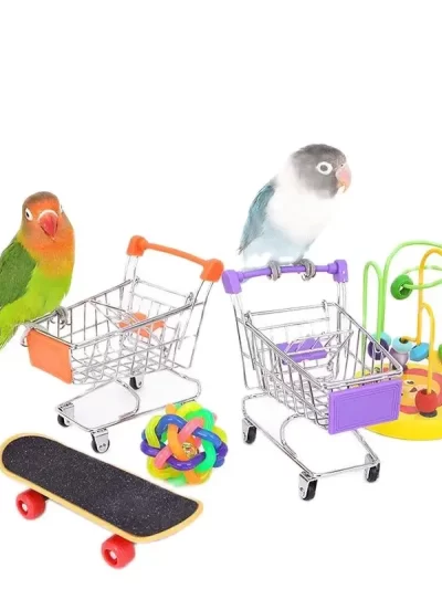 Bird Training Toy Supplies Basketball Stand Lovebird Shopping Cart Bird Toy Shoes Canary Skateboard Parrot Toy Accessories