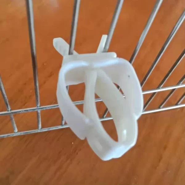 Cute Small Pet Bird Food Holder Parrot Fruits Vegetables Clip Cuttlefish Bone Feeder Device Clamp Bird Cage Accessories Oiseaux - Image 3