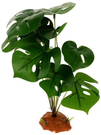 Lizard Terrarium Plants Decors Reptile Accessories Tank Fish Decorations Office