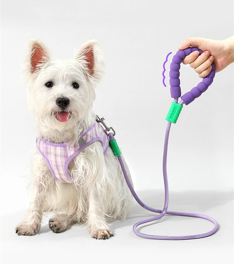 150cm Dog Leash Soft Handle Escape Proof Pet Leashes For Small Medium Large Dogs Reinforced Dog Leading Leash Pet Supplies - Image 11
