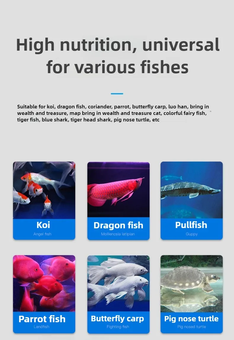 Yee High Protein Koi Feed Sinking Fish Food Sinking General Map Fish Zhaocai Silver Arowana Rohan Goldfish Parrot Fish Food - Image 10