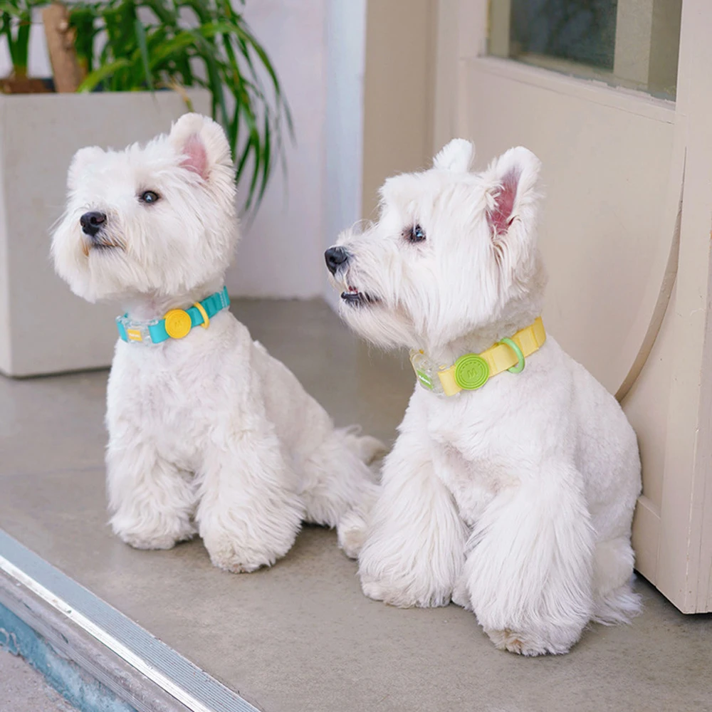 Colorful Pet Collar Waterproof Cat Dog Collars For Small Medium Dogs Fadou Teddy Corgi - Image 13