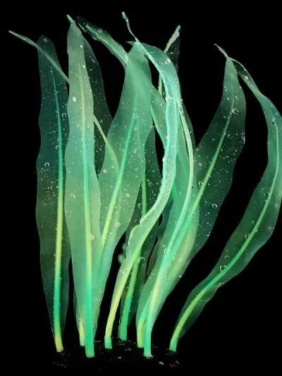 Aquarium Plants for aquarium decoration aquarium Fish Tank Aquarium Accessories Decoration Water Plant