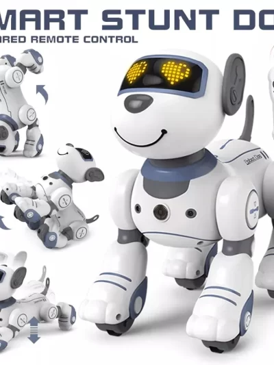 Intelligent Robot Dog Remote Control Electronic Sing Dance Follow Smart Interactive Stunt Music Toy Programmable Puppy Kid Gift