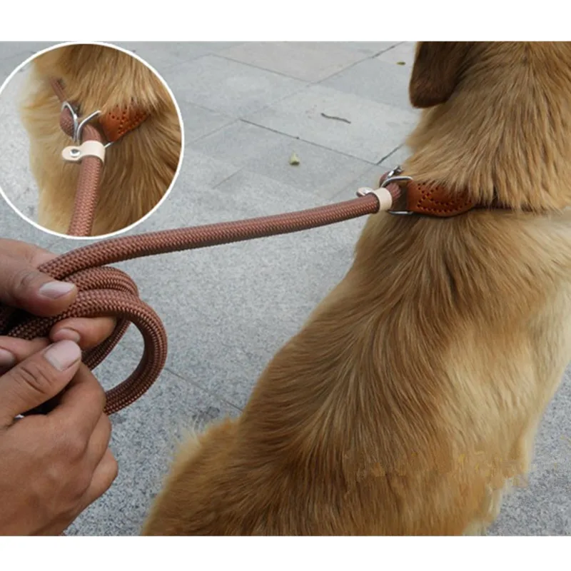 Dog Leash Slip Rope Lead Leash Heavy Duty Braided Rope Adjustable Training Leashes Nylon Pet Lead 8/14mm,For Large/small Dogs - Image 2
