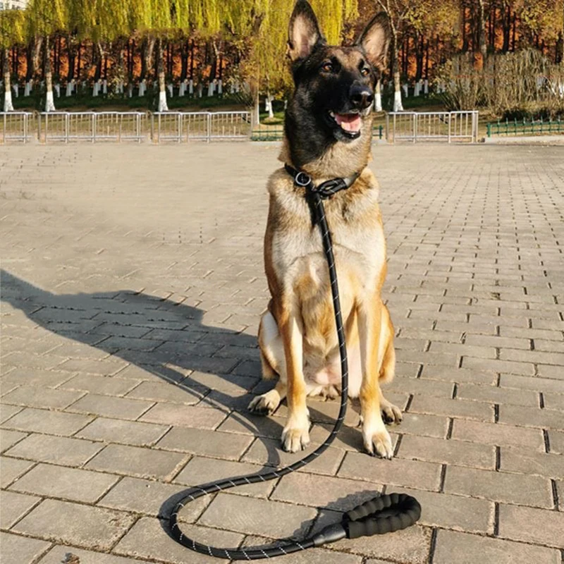 Reflective Pad Big Dog Leash for Training Walking Pet P Chain for Medium Large Dogs Malinois Collie Leashes mascotas Accessories - Image 5