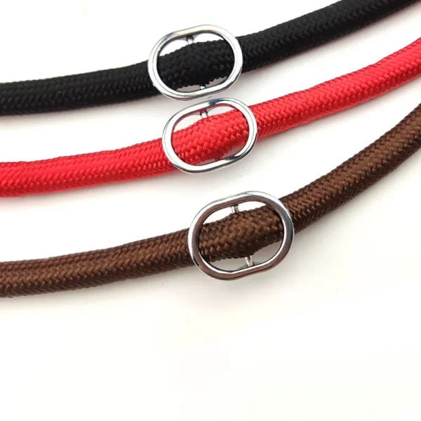 Dog Leash Slip Rope Lead Leash Heavy Duty Braided Rope Adjustable Loop Collar Training Leashes for Small Medium  Dogs - Image 4