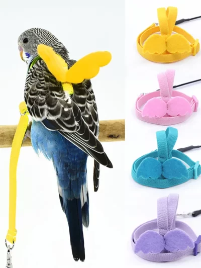 Adjustable Pet Parrot Harness Leash Outdoor Flying Training Rope for Small Medium Macaw Cockatiel Budgie Strap Bird Accessories