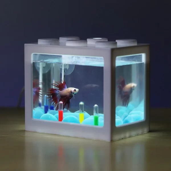 USB Illuminated Small Fish Tank Small Landscape Seaweed Ball Box Mini Aquarium Fish Tank with LED Lamp Light