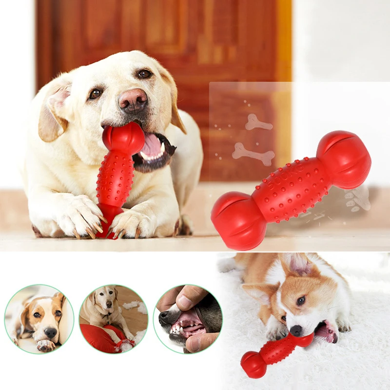 Durable TPR Pet Chew Toy Small Large Dog Molars Golden Retriever Labrador Interactive Education Toys Pet Supplies Accessories - Image 5