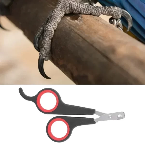 Parrot Nail Clippers Small Animal Accessories Beauty Tools Nail Clippers Dog Cat Bird Guinea Pig Animal Paw Scissors Pet Health - Image 6