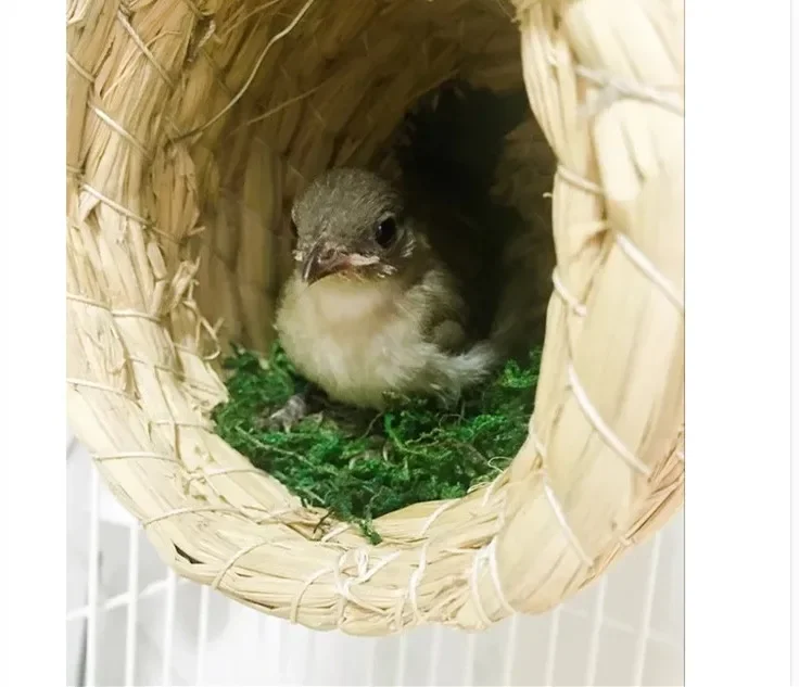 Handmade Straw Natural Bird Nest/Pigeon Bird House Parrot Nest Warm Pet Bedroom Courtyard Bird Cages Adornment - Image 8