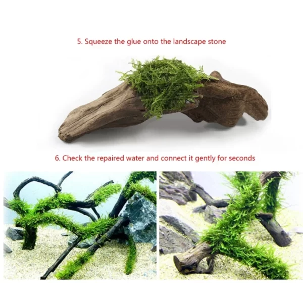 Fish Tanks Landscaping Aquarium No Marks Aquarium Supplies - Image 3