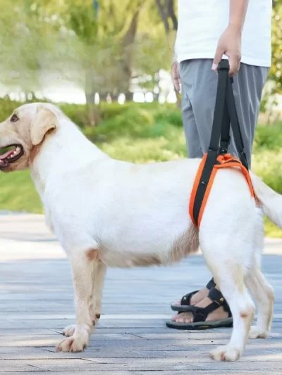 Pet Leashes Walking AIDS for Disabled and Elderly Dogs Adjustable Hind Leg Lifting Assistance Belts Cat Leash Pet Accessories