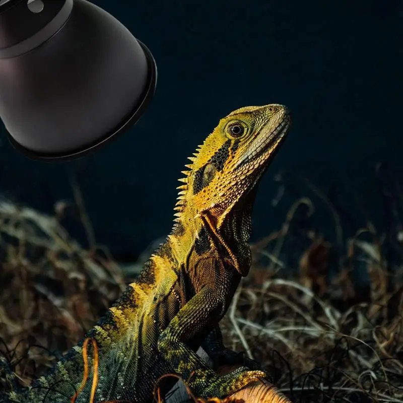 Reptile Dome Light Dome Heating Bulb Deep Dome Lampshade Optical Reflection Cover Heat Lamp Shade Bearded Dragon Tank Accessory - Image 3