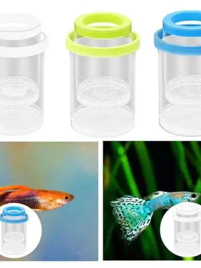 Floating Fish Breeding Isolation Box Aquarium Breeder Feeder Fish Tank Hatching Incubator Aquarium Hatchery Accessories