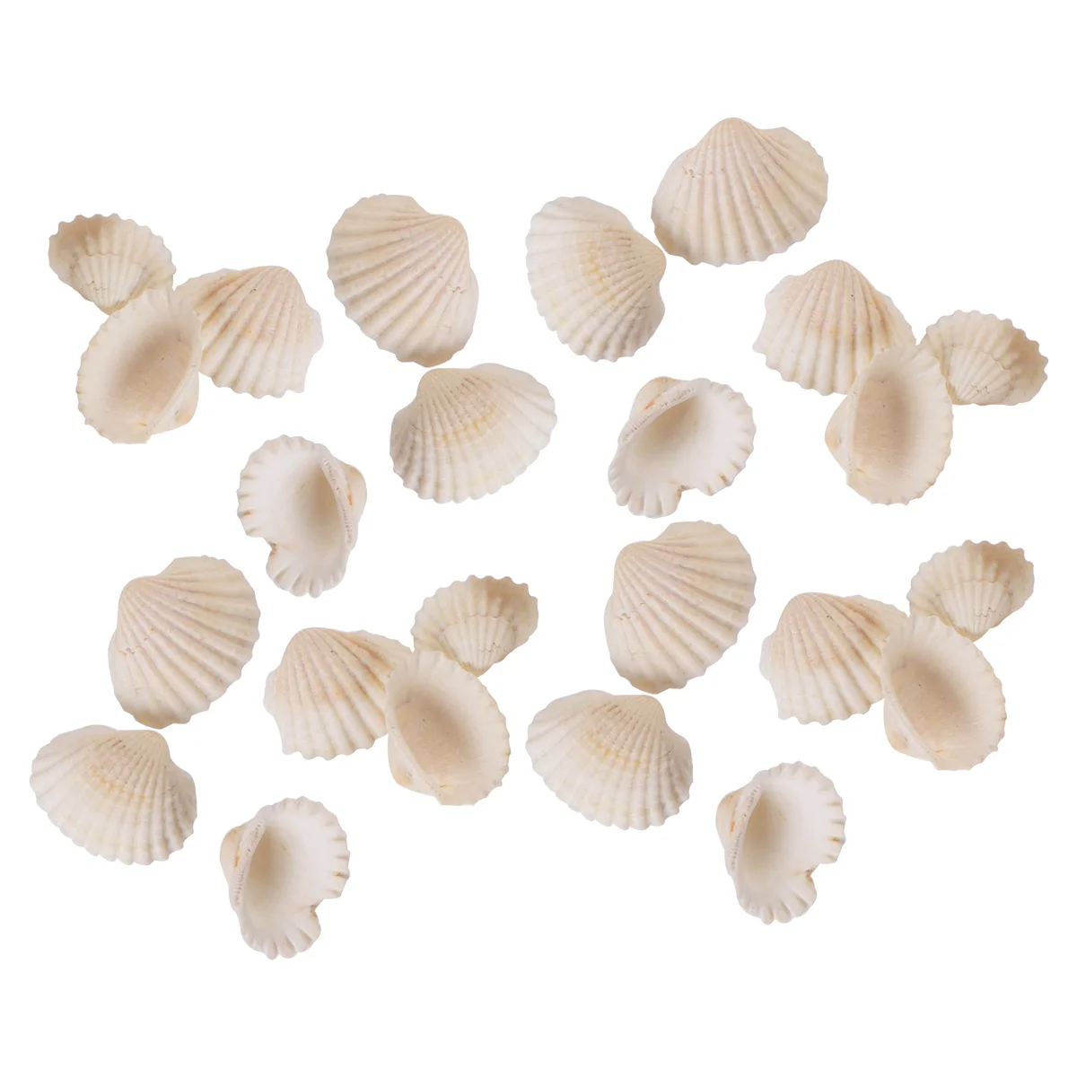 Fish Tank Accessories Shell Jewelry Small Decor Scallop Natural Ornaments Vase Barreled DIY Pendant - Image 5