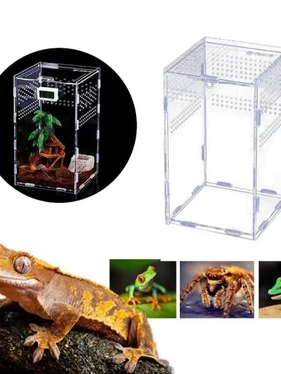 Reptile Habitat Terrarium Breeding Box Acrylic Transparent Insect Spider Lizard Scorpion Feeding Case Reptile Accessories