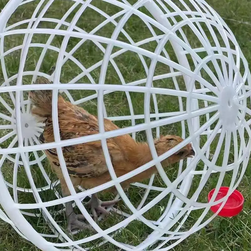 Plastic Ball Cage For Chickens 3 Pieces Spherical Pet Safety Cage Movable Chicken Cage Ball-Shaped Chicken Hamster Cages