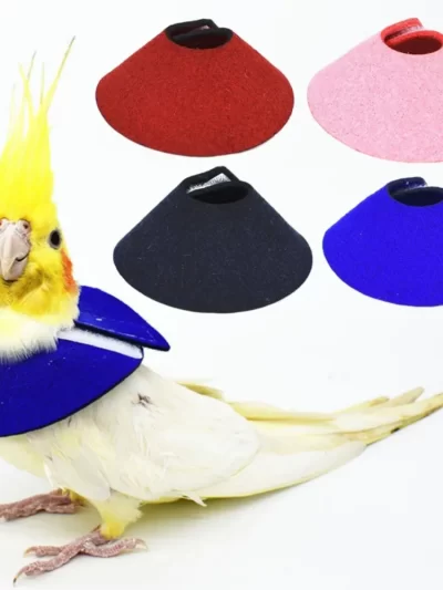 for Bird Neck Protective Adjustable Bird Accessories Bird Cloak Parrot Elizabethan Circle Bird Neck Sleeve Bird Recovery Collar