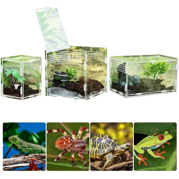 Reptile Habitat Terrarium Breeding Box Acrylic Transparent Insect Spider Lizard Scorpion Feeding Case Reptile Accessories - Image 13