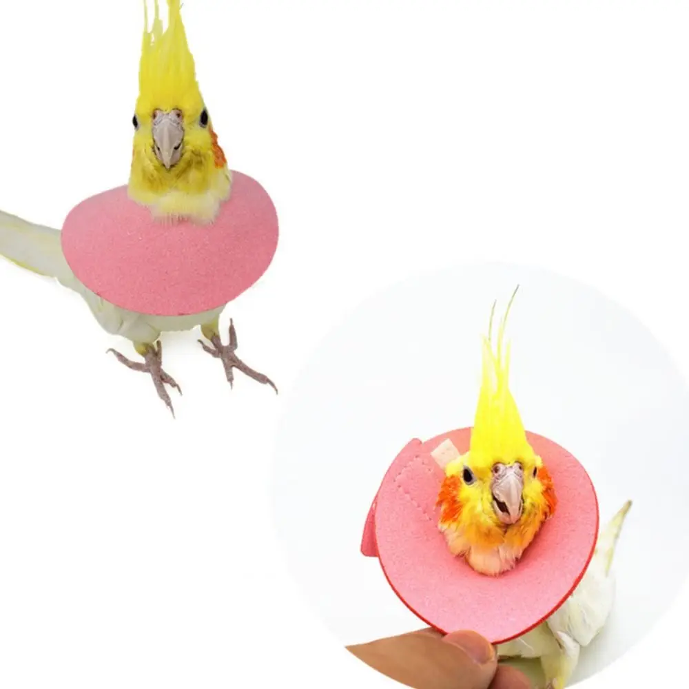 for Bird Neck Protective Adjustable Bird Accessories Bird Cloak Parrot Elizabethan Circle Bird Neck Sleeve Bird Recovery Collar - Image 3