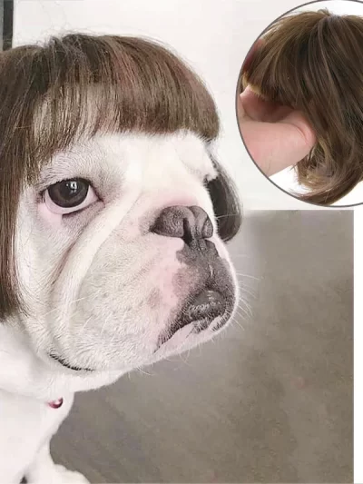 Pet Wigs Cosplay Props Dog Cat Cross-Dressing Hair Set Photography Funny Props Head Accessories Prank Pet Supplies Costumes DIY