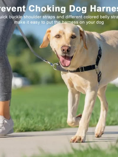 Dog Harness No Adjustable No-pull Dog Training Harness for Dogs Control Pulling Teach Leash Manners Prevent Pets from Pulling