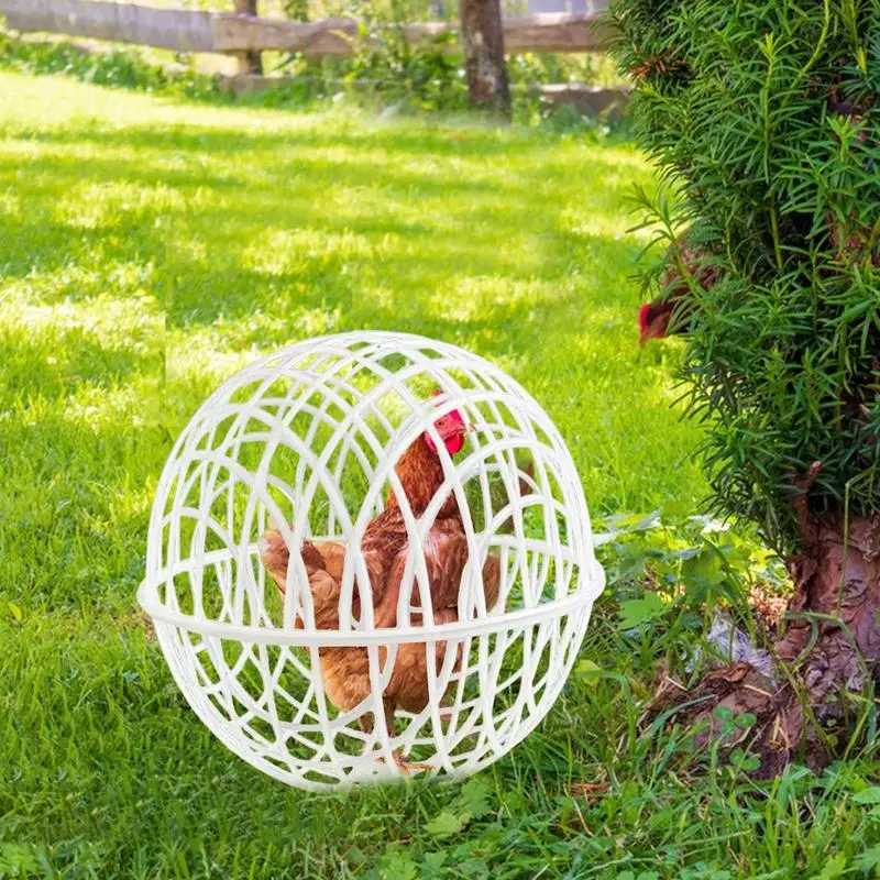 Plastic Ball Cage For Chickens 3 Pieces Spherical Pet Safety Cage Movable Chicken Cage Ball-Shaped Chicken Hamster Cages - Image 5