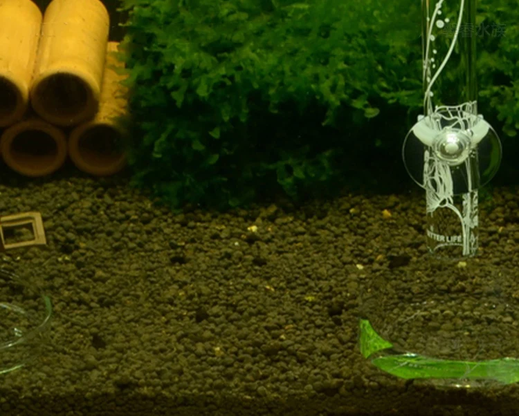 VIV Aquarium Supplies Crystal Shrimp Nest Glass Feeding Basin Feeding Tube Fish Tank Accessories ADA Quality - Image 16