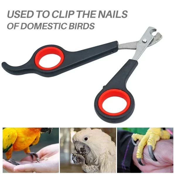 Parrot Nail Clippers Small Animal Accessories Beauty Tools Nail Clippers Dog Cat Bird Guinea Pig Animal Paw Scissors Pet Health - Image 3