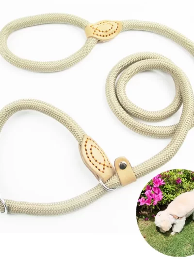 Dog Leash Slip Rope Lead Leash Heavy Duty Braided Rope Adjustable Training Leashes Nylon Pet Lead 8/14mm,For Large/small Dogs