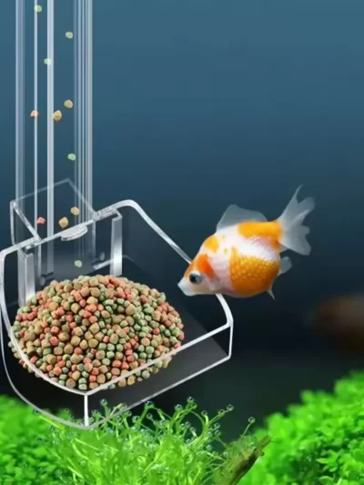 1pc-Aquarium Acrylic Feeding Tube Anti-stuck Fish Design Transparent Fish Feeder Suitable for A Variety of Fish Tanks