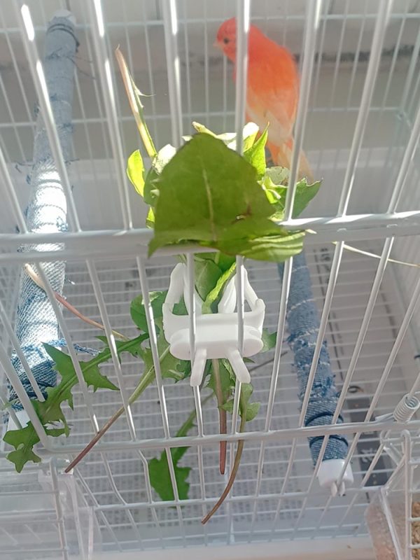 Cute Small Pet Bird Food Holder Parrot Fruits Vegetables Clip Cuttlefish Bone Feeder Device Clamp Bird Cage Accessories Oiseaux - Image 12