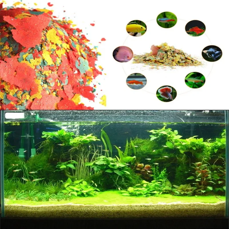 Fish Food Coloring and Brightening Feed High-nutrient Tropical Fish Growth Healthy Fish Food Flakes - Image 3