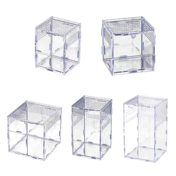 Reptile Habitat Terrarium Breeding Box Acrylic Transparent Insect Spider Lizard Scorpion Feeding Case Reptile Accessories - Image 6
