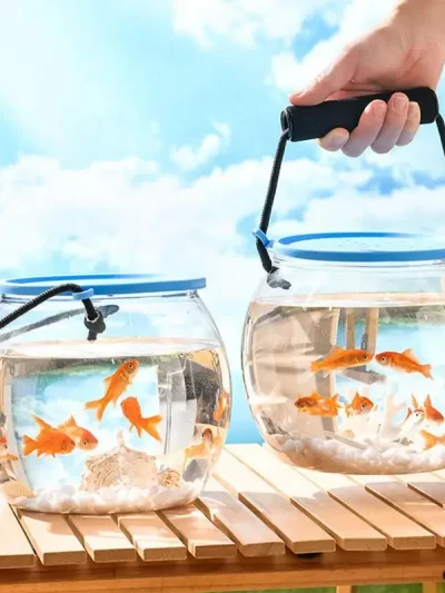 Portable Mini Fish Tank Handheld Aquarium Fish Transport Container Breathable beach fish tank with lids durable