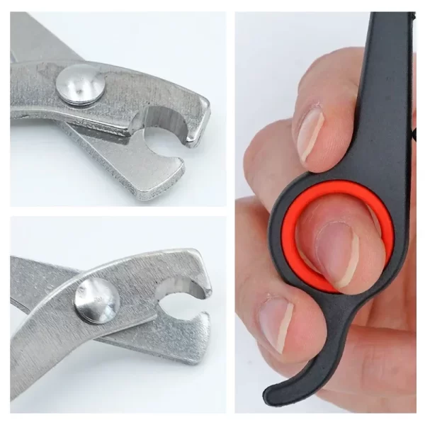 Parrot Nail Clippers Small Animal Accessories Beauty Tools Nail Clippers Dog Cat Bird Guinea Pig Animal Paw Scissors Pet Health - Image 5