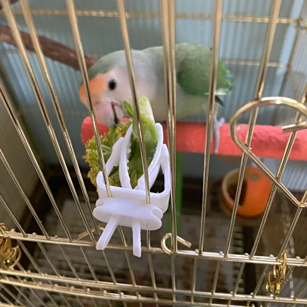 Cute Small Pet Bird Food Holder Parrot Fruits Vegetables Clip Cuttlefish Bone Feeder Device Clamp Bird Cage Accessories Oiseaux - Image 6