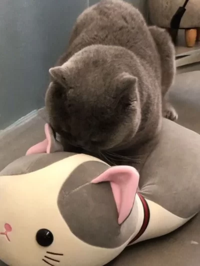 Soft Stuffed Cat Sex Toys Critters Plush Toy Interactive Cats Doll Excitement Game Stuffed Accessories Novelty Pets Supplies