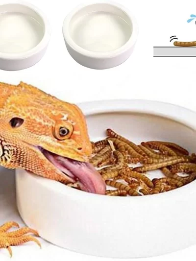 Reptile Food Bowl Feeding and Watering Bowl Anti-Escape Ceramic Feeding and Watering Bowl Anti-Escape Super Worm Feeder