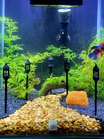 GRAVEL DIVIDER Fish Tank Decor for Aquariums & Terrariums