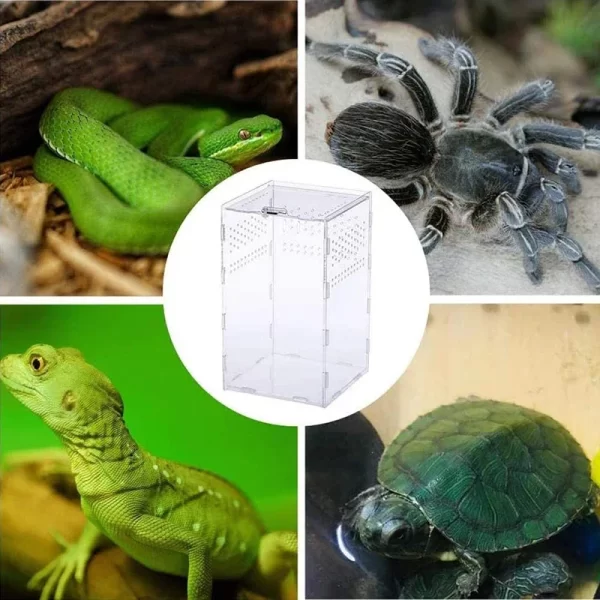 Reptile Habitat Terrarium Breeding Box Acrylic Transparent Insect Spider Lizard Scorpion Feeding Case Reptile Accessories - Image 19