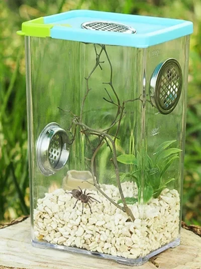 Acrylic Transparent Breeding Box for Reptiles Spiders Lizards Insects Mantis Pet Cages Reptile Accessories Clear Feeding Box