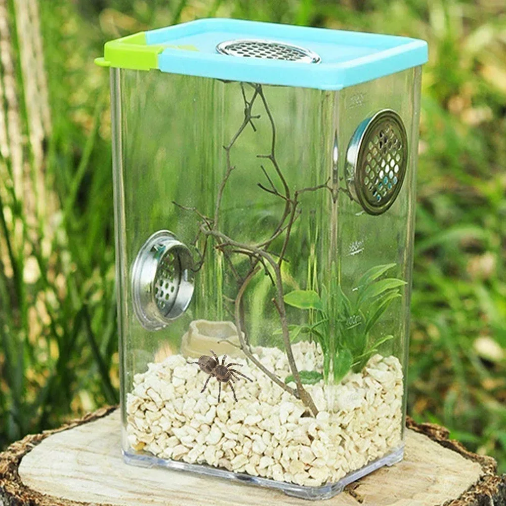 Acrylic Transparent Breeding Box for Reptiles Spiders Lizards Insects Mantis Pet Cages Reptile Accessories Clear Feeding Box